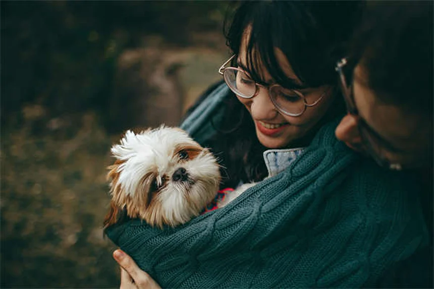 犬のアレルギー対策！ホリスティック治療で痒みを解消する5つの方法
